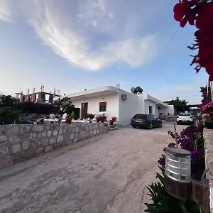Teo Sarandë